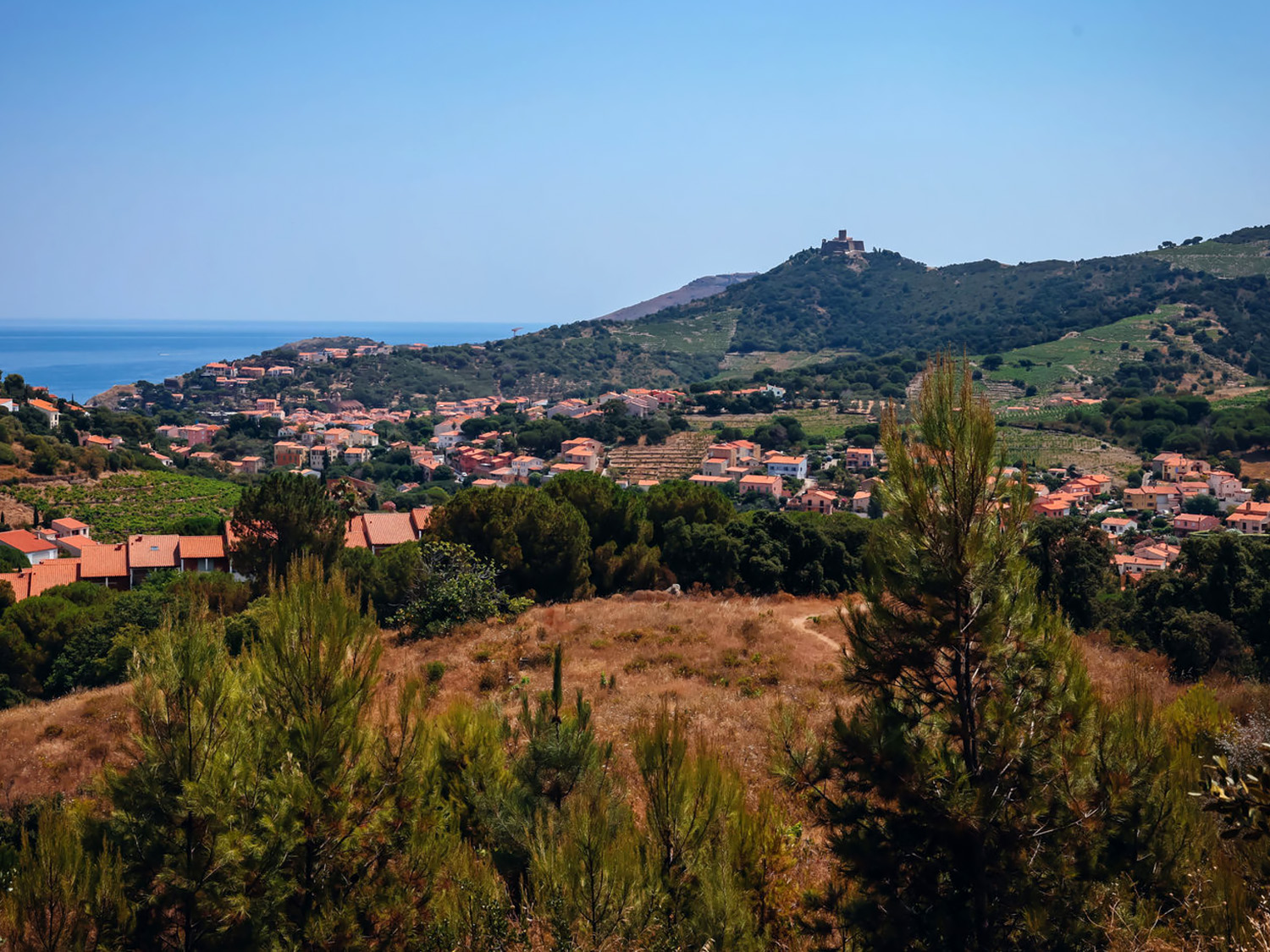 Chalet op een groen en rustig gelegen park